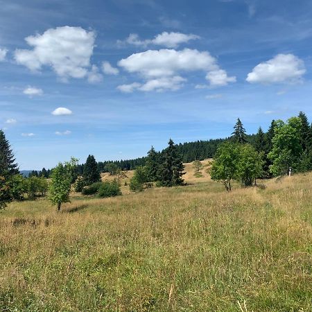 Ubytování u Matěje Horni Blatna Exterior foto