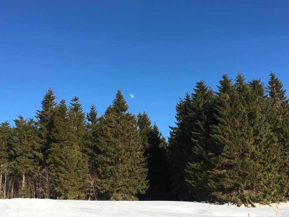 Ubytování u Matěje Horni Blatna Exterior foto