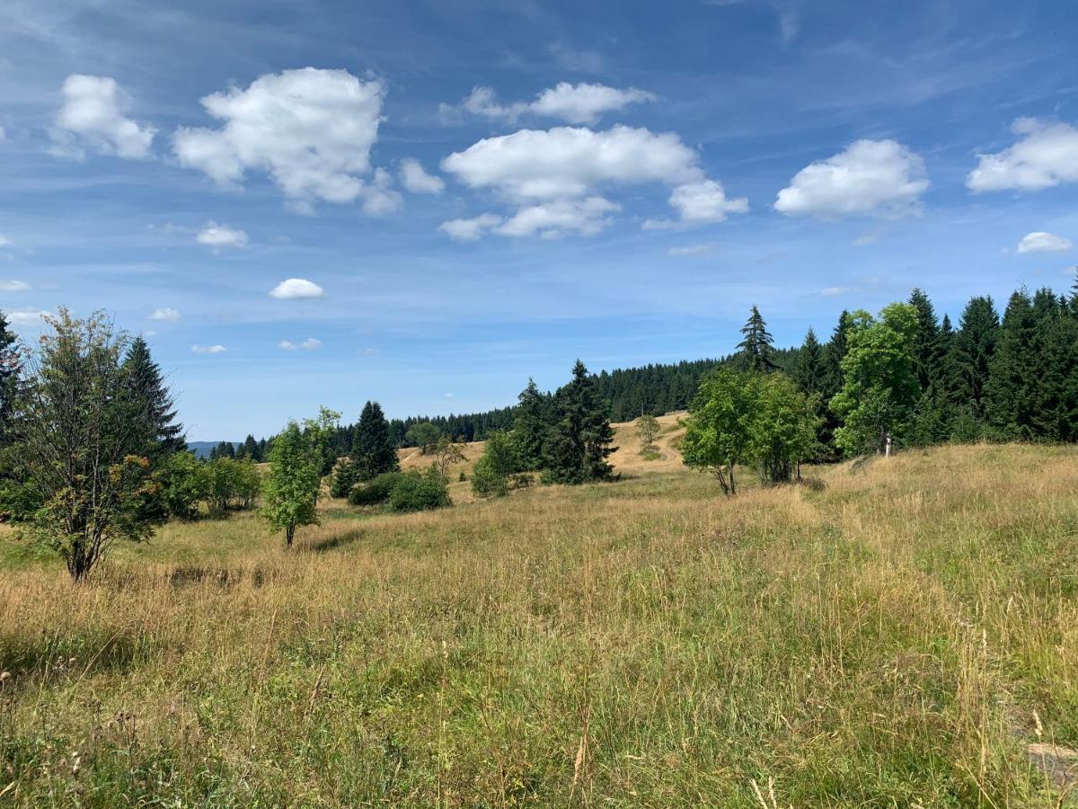 Ubytování u Matěje Horni Blatna Exterior foto
