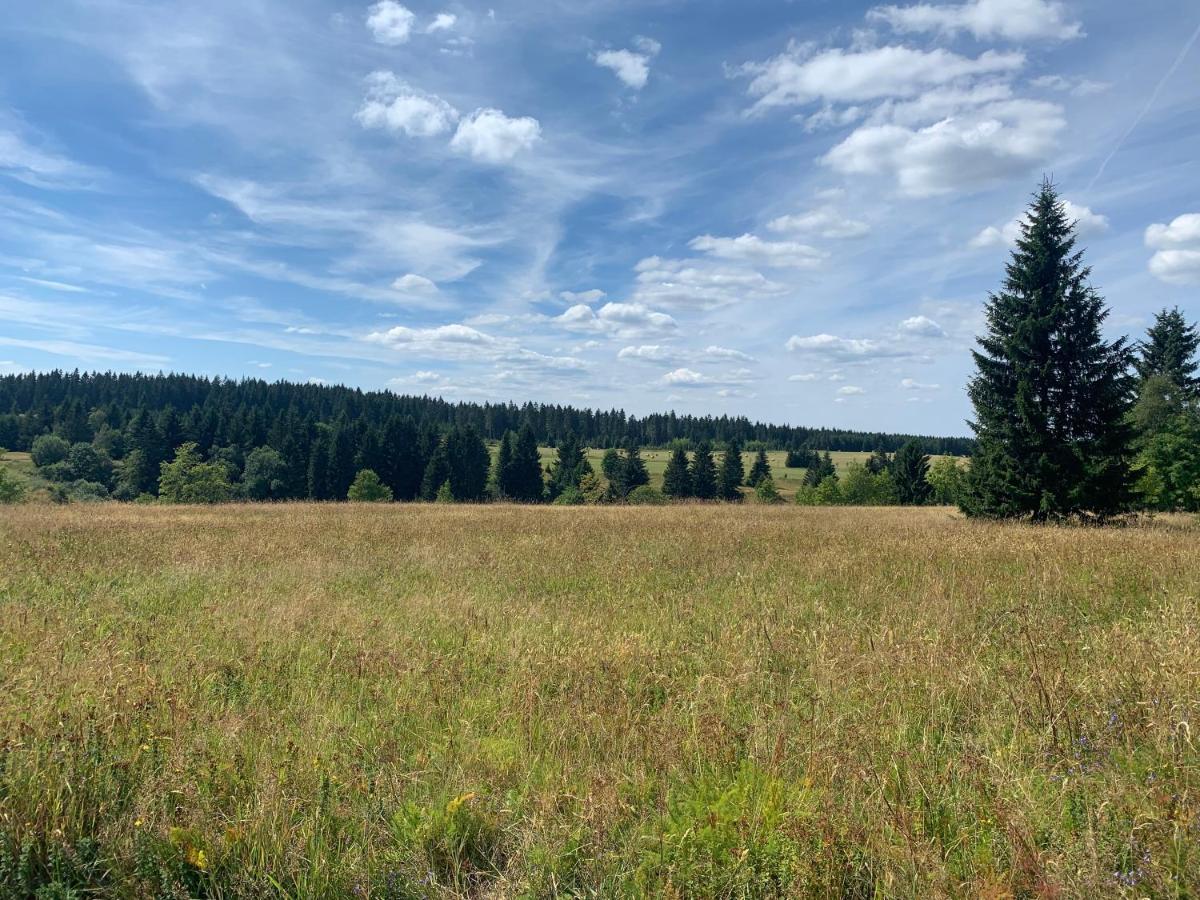 Ubytování u Matěje Horni Blatna Exterior foto