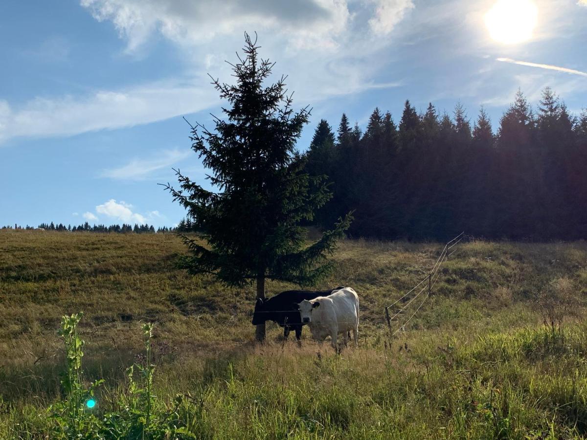 Ubytování u Matěje Horni Blatna Exterior foto