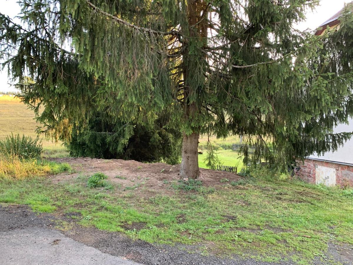 Ubytování u Matěje Horni Blatna Exterior foto