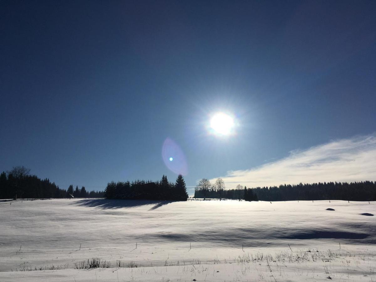 Ubytování u Matěje Horni Blatna Exterior foto