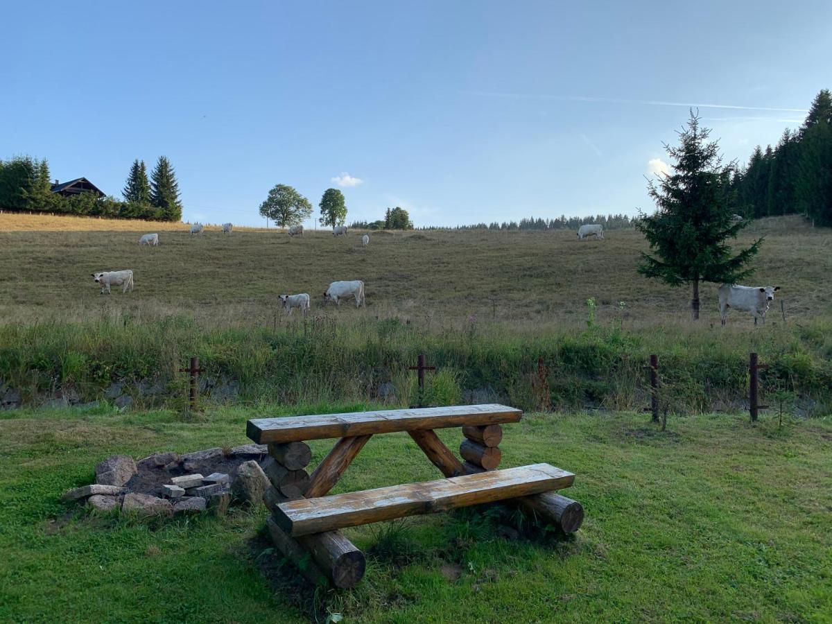 Ubytování u Matěje Horni Blatna Exterior foto